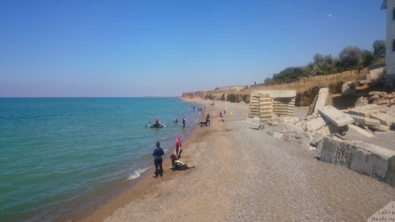 Фотография № 193344