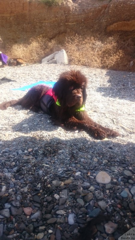 Фотография № 193345