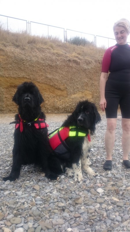 Фотография № 193346