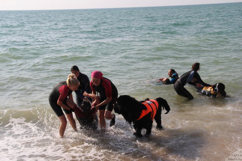 Фотография № 193350