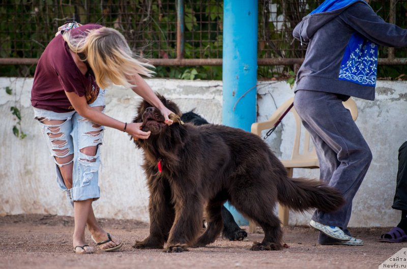 Фотография № 193352