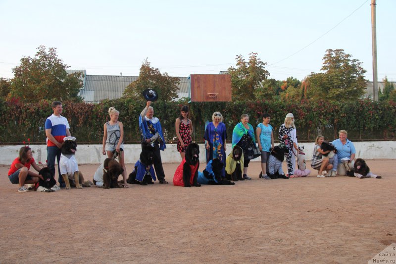 Фотография № 193356