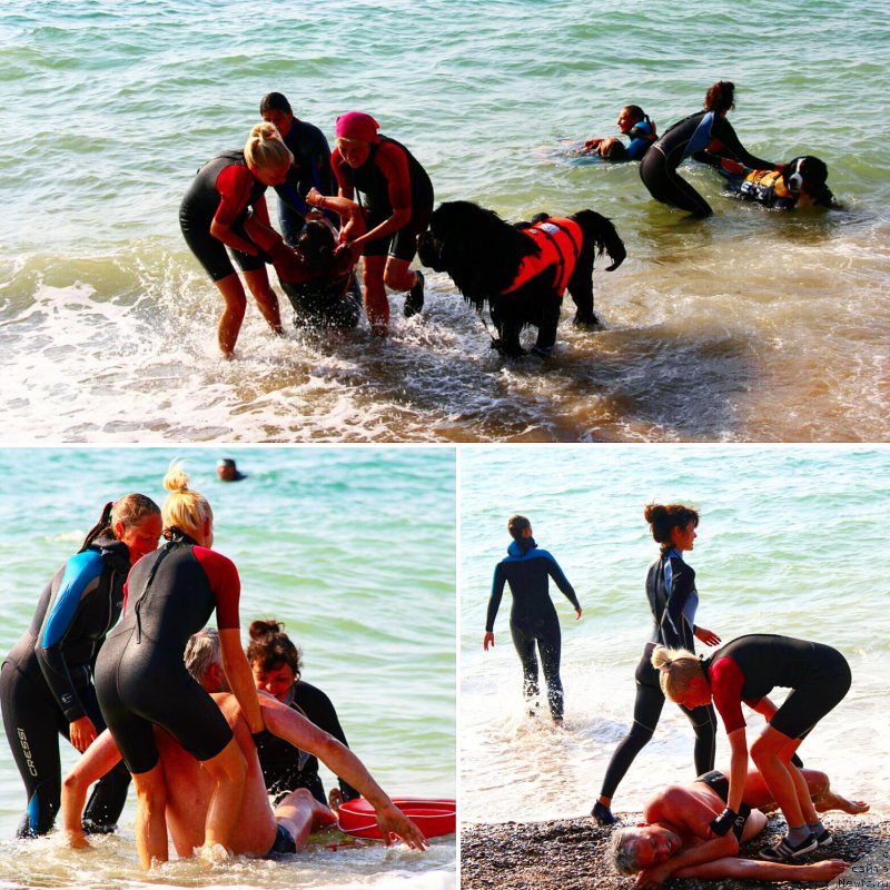 Фотография № 193357