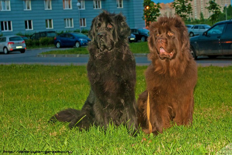 Фотография № 193359