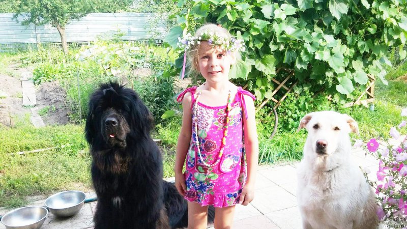 Фотография № 193371