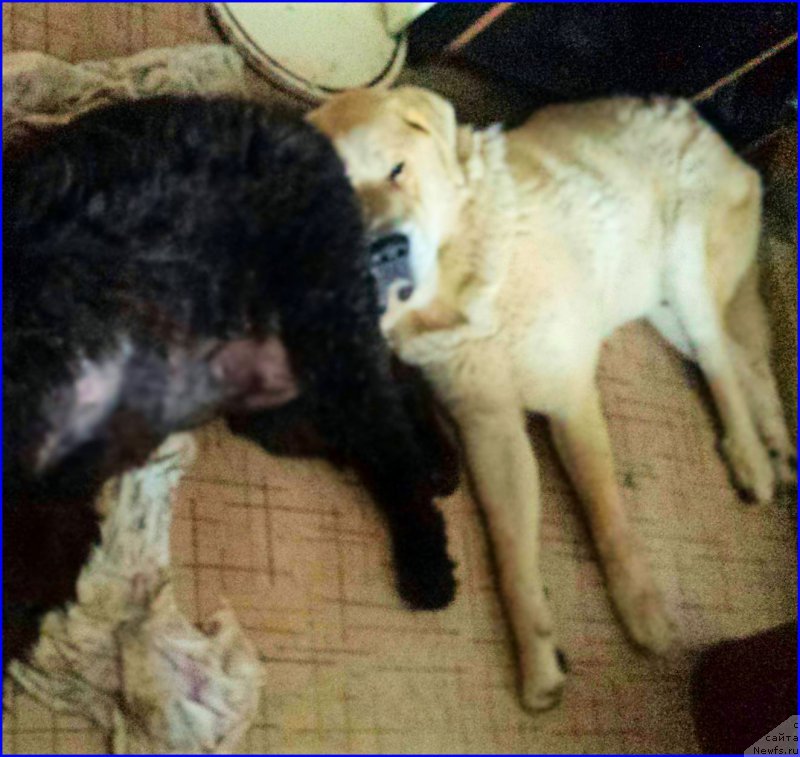 Фотография № 193386