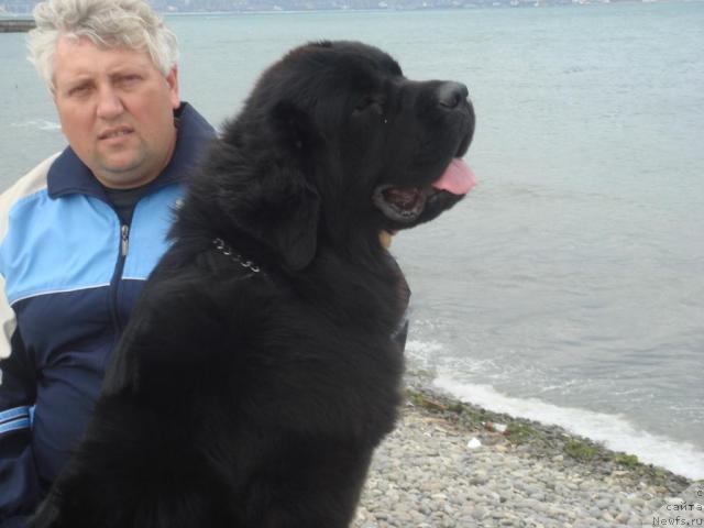 Фотография № 19339