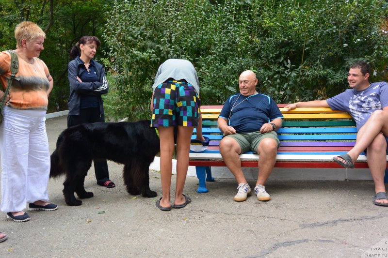 Фотография № 193392