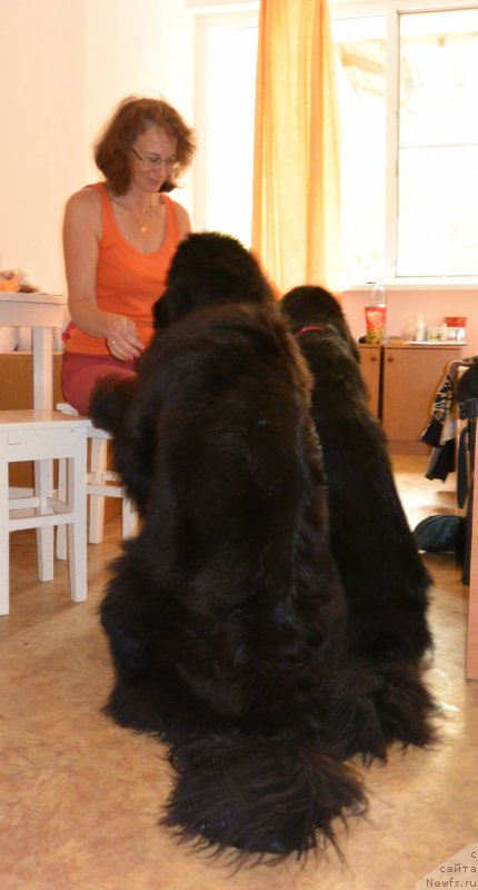 Фотография № 193397