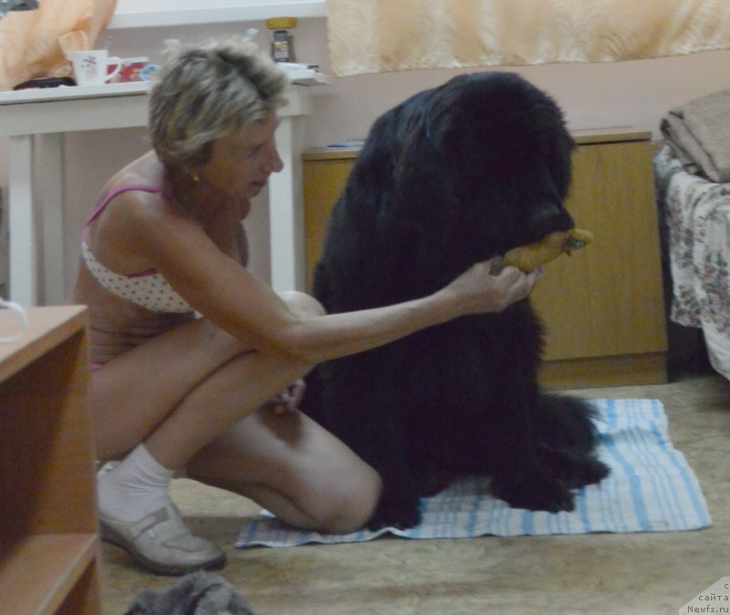 Фотография № 193398