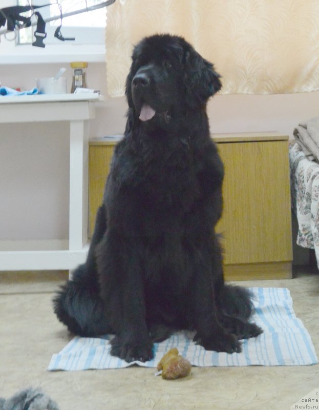 Фотография № 193400