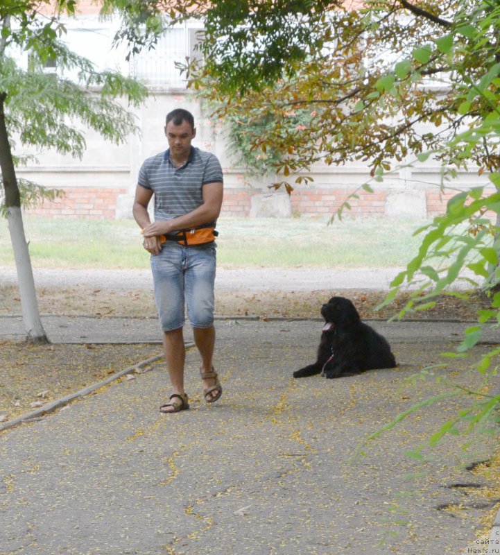 Фотография № 193403