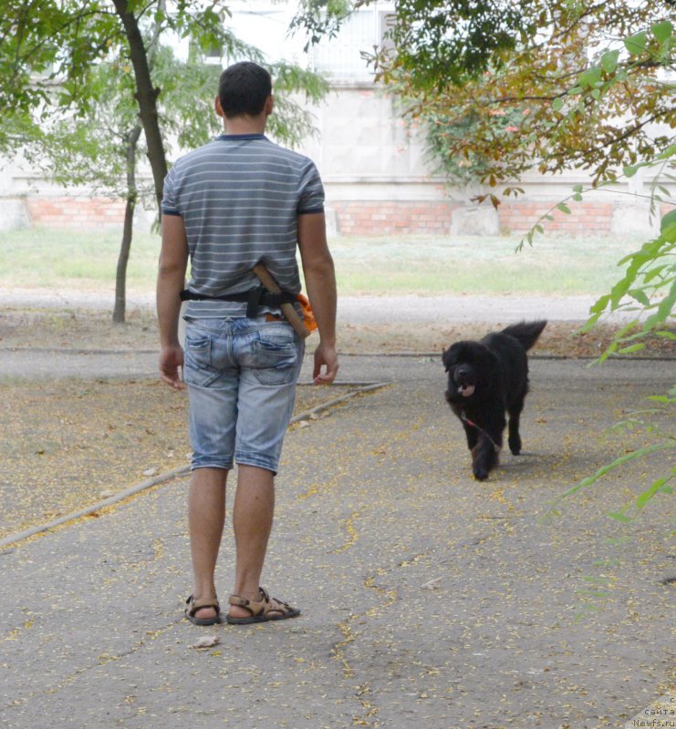 Фотография № 193404