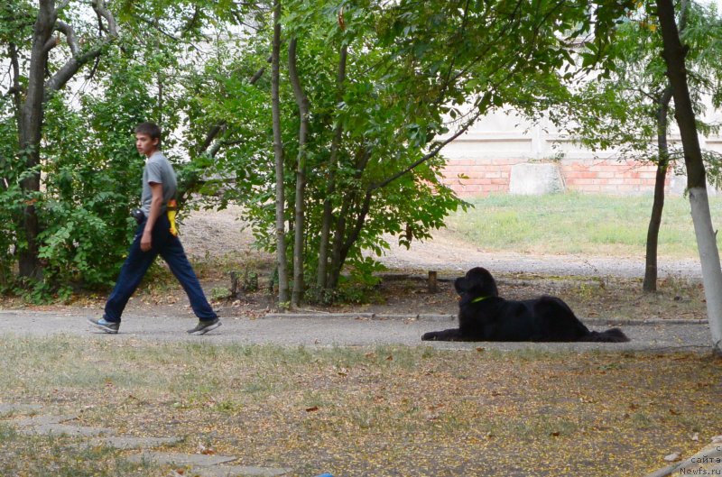 Фотография № 193408