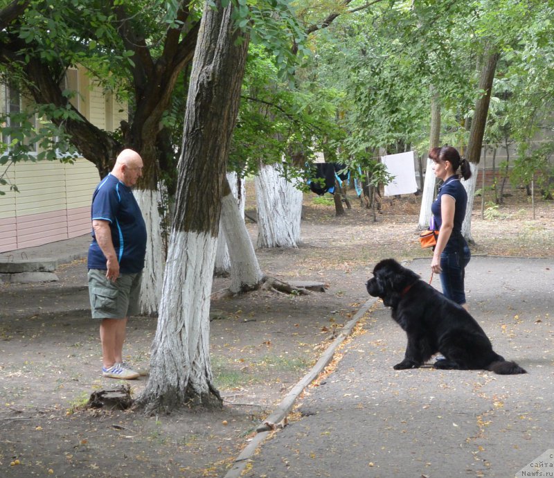 Фотография № 193411