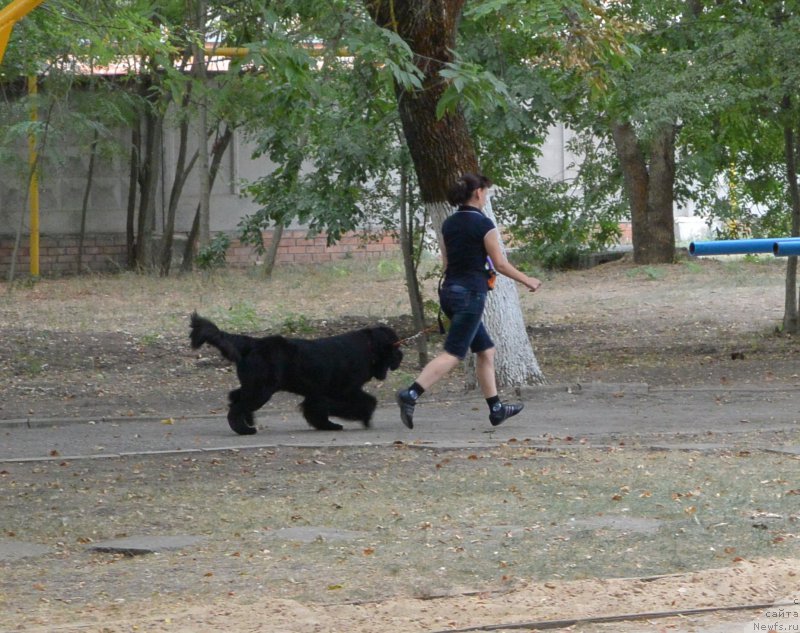 Фотография № 193412