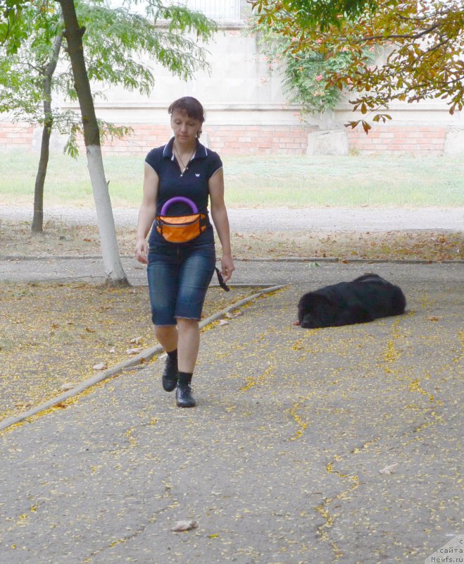 Фотография № 193413