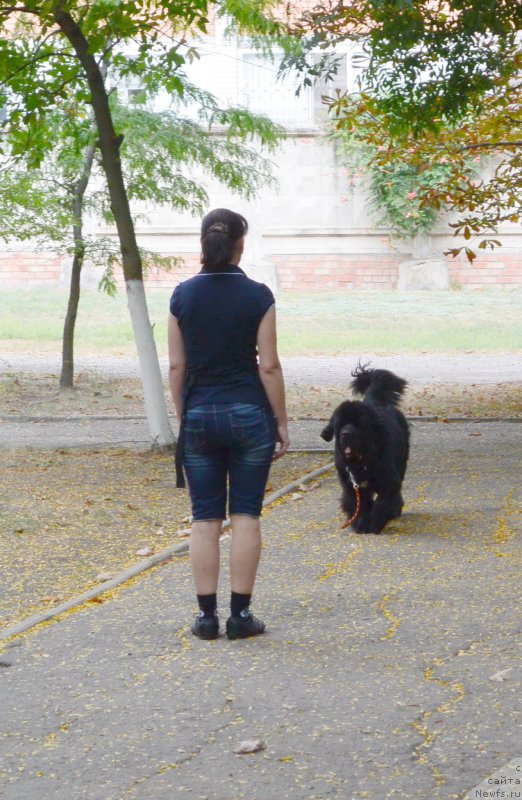 Фотография № 193414