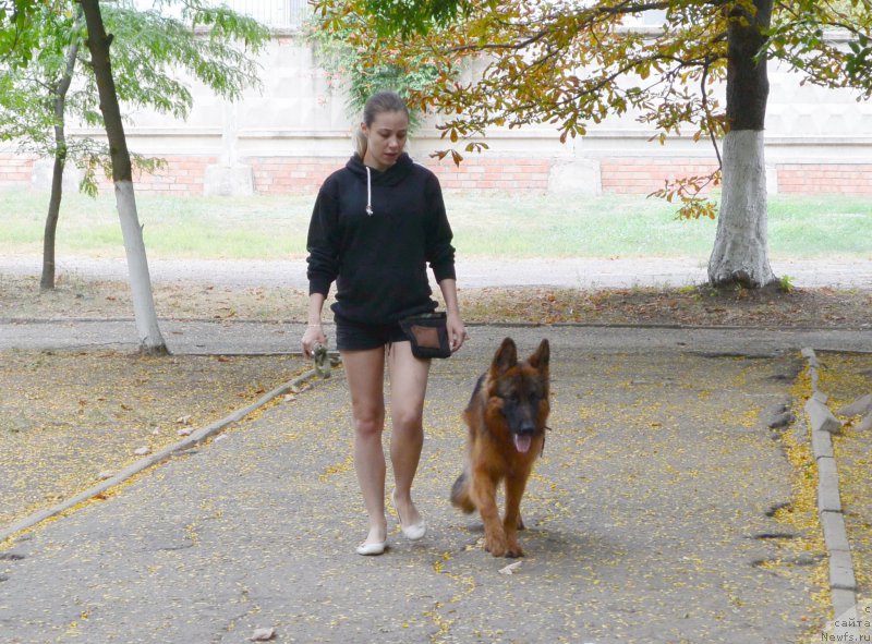 Фотография № 193418