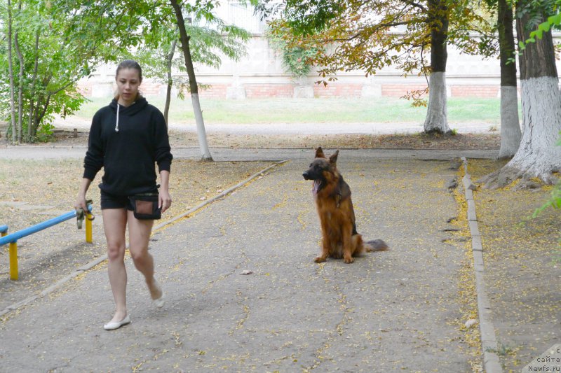 Фотография № 193419