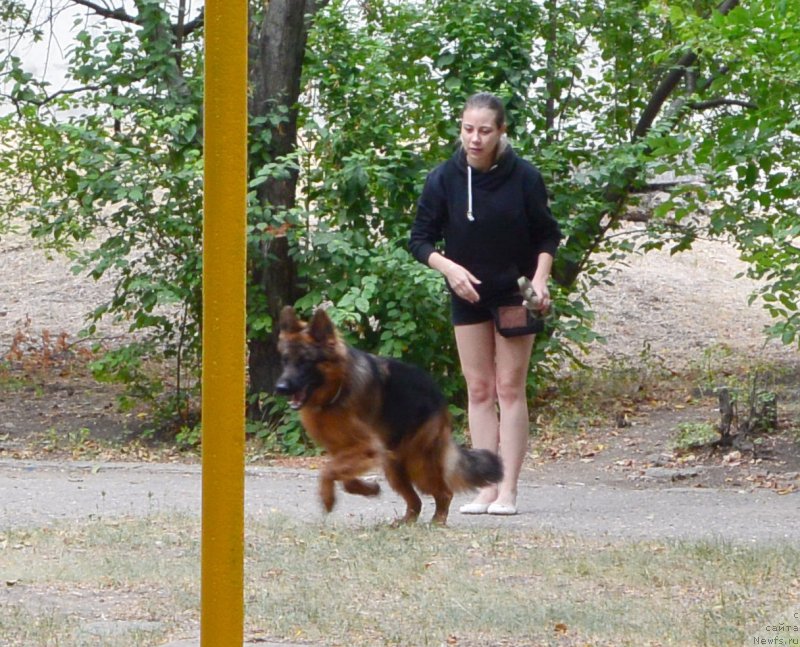 Фотография № 193421