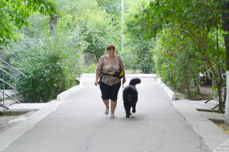 Фотография № 193422