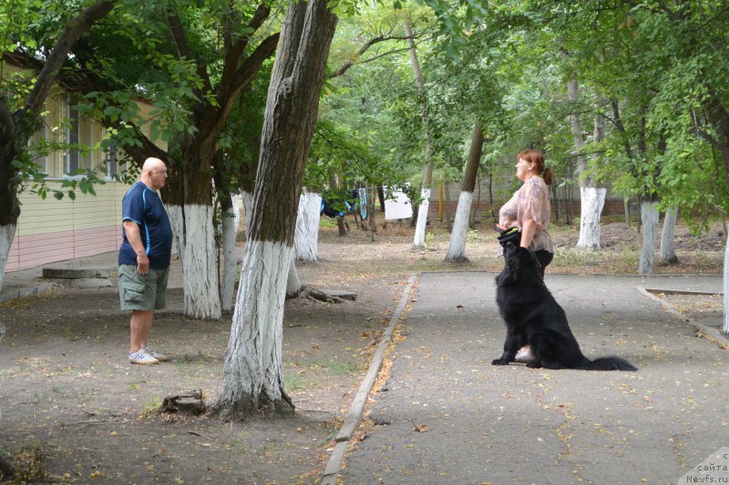 Фотография № 193423