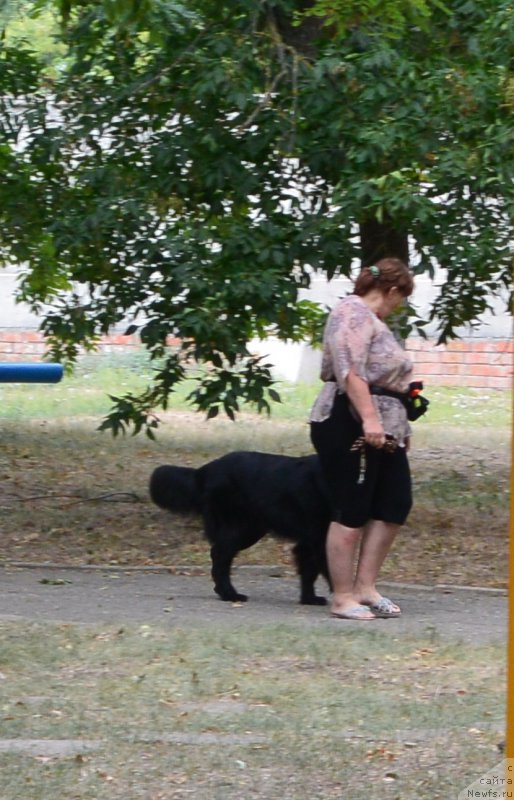 Фотография № 193424