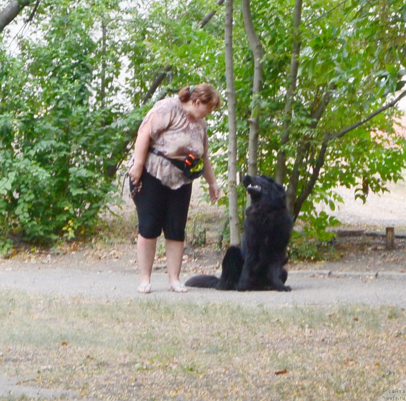 Фотография № 193425