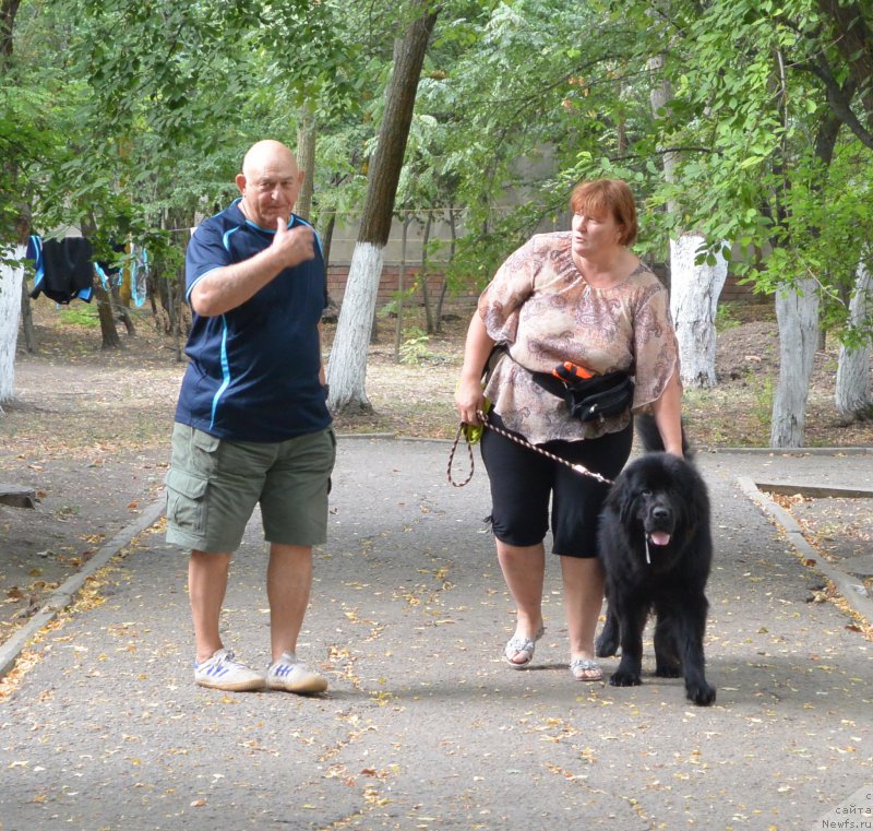 Фотография № 193427