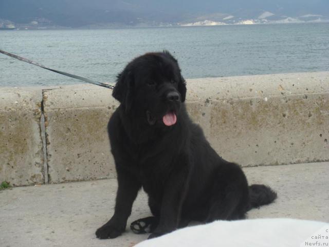 Фотография № 19343