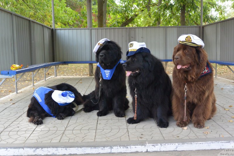 Фотография № 193432