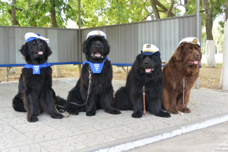 Фотография № 193433