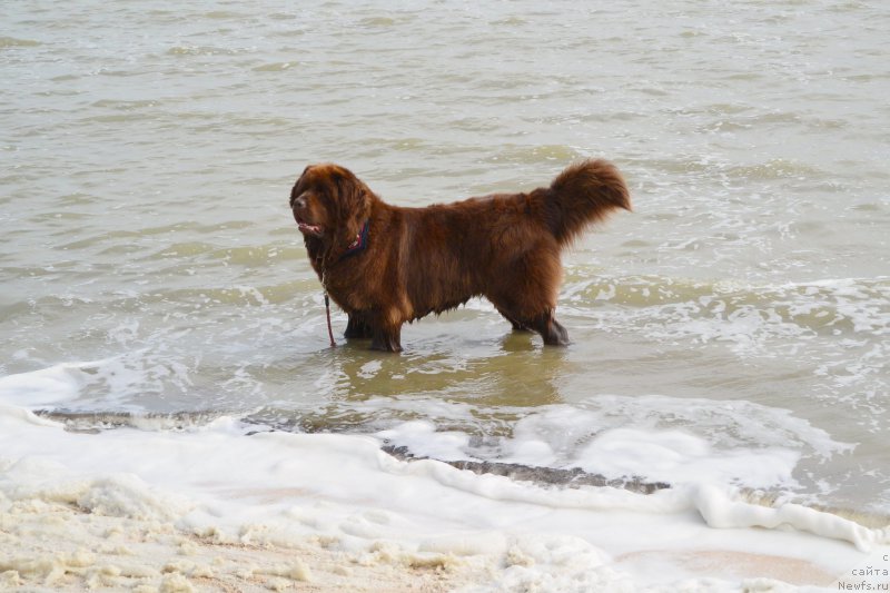 Фото: Маргарита Завацкова