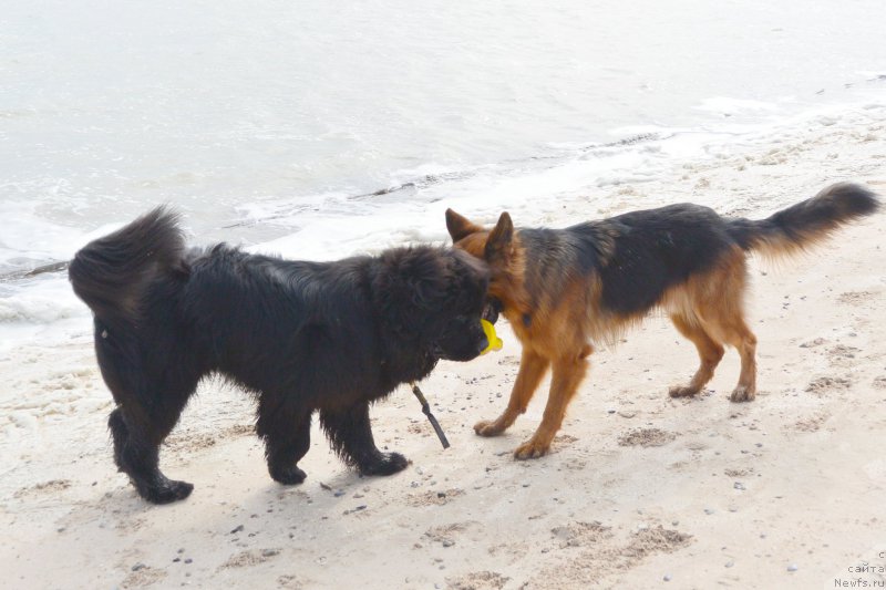 Фотография № 193446