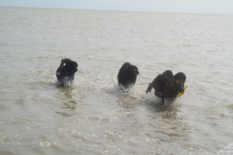 Фотография № 193450