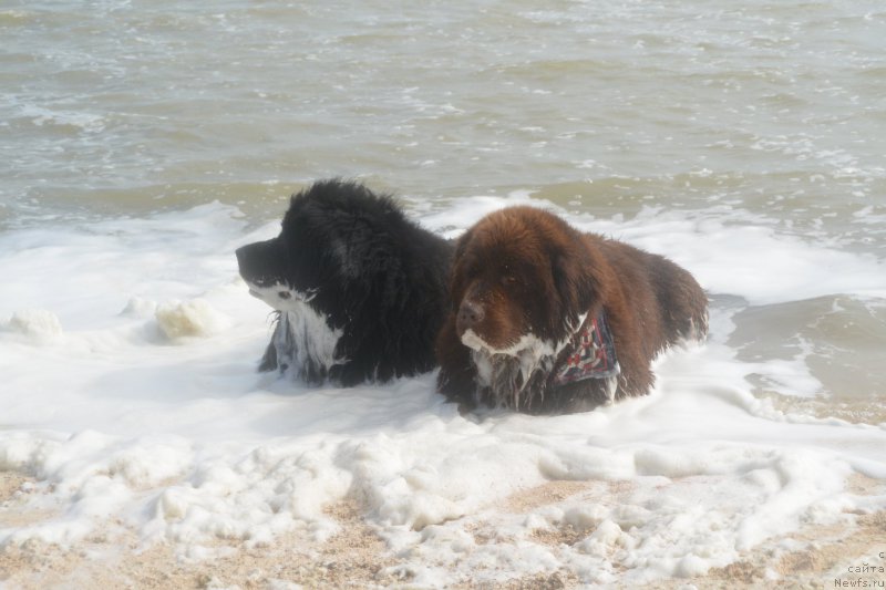 Фотография № 193453