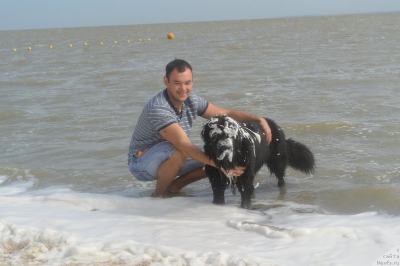 Фотография № 193454