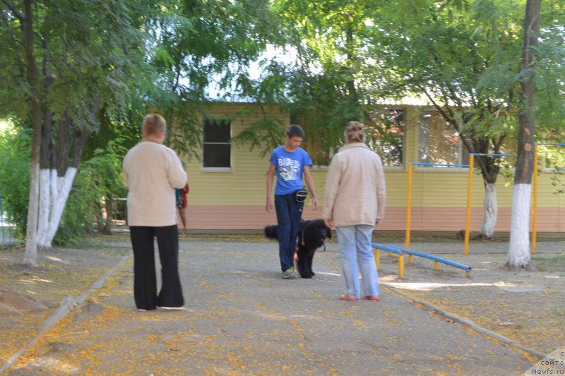 Фотография № 193467