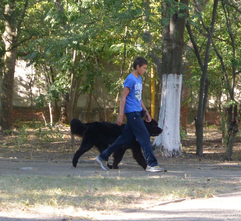 Фотография № 193468