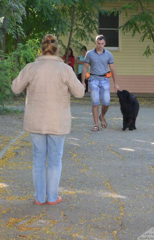 Фотография № 193474