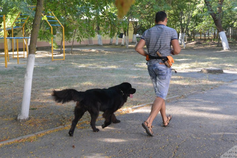 Фотография № 193477