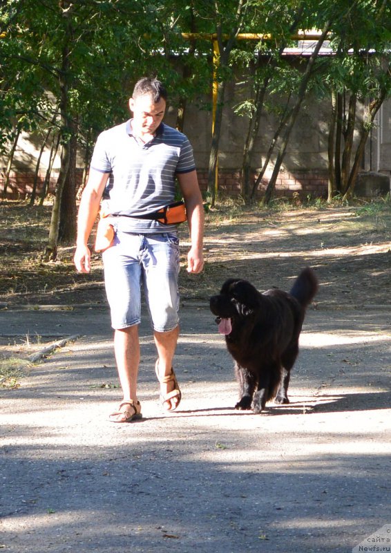 Фотография № 193479