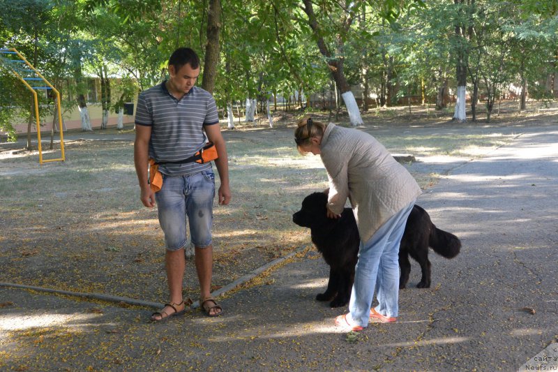 Фотография № 193480