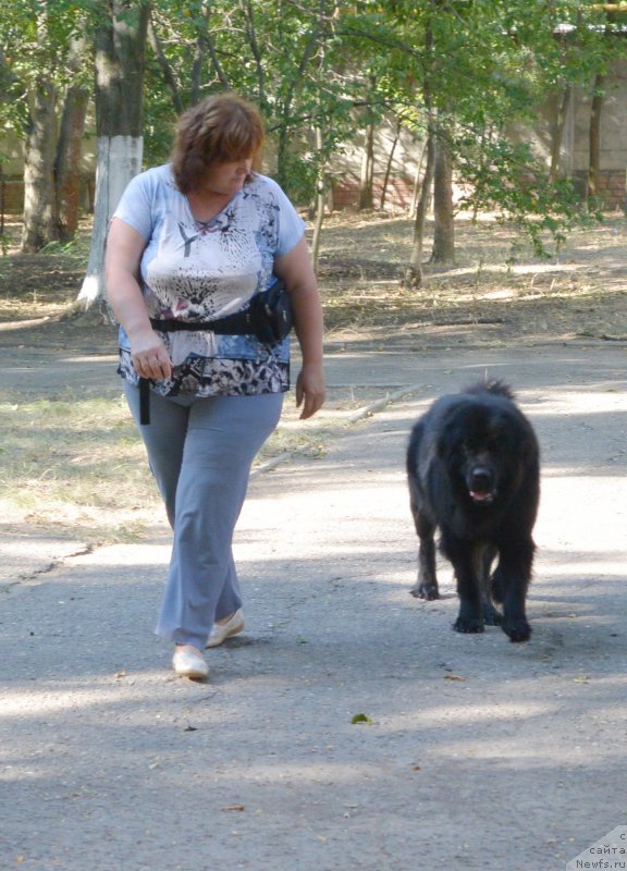 Фотография № 193485