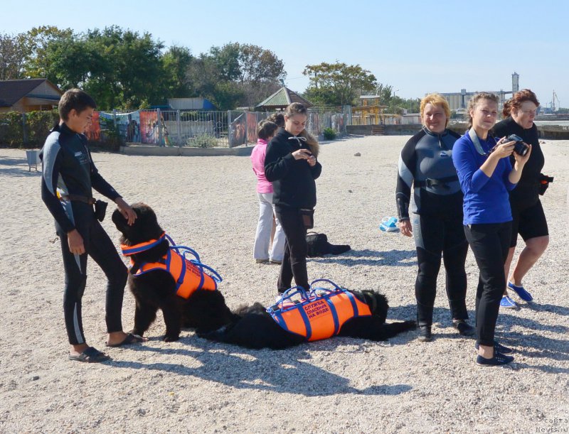 Фотография № 193498