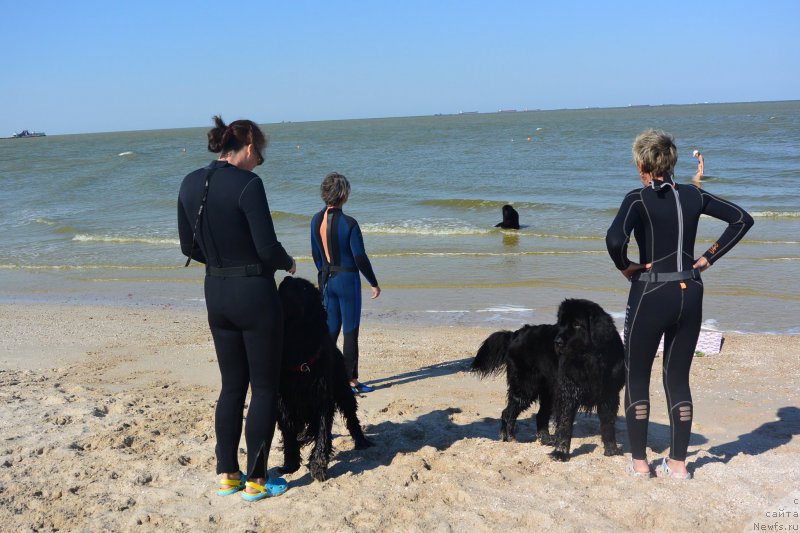 Фотография № 193500