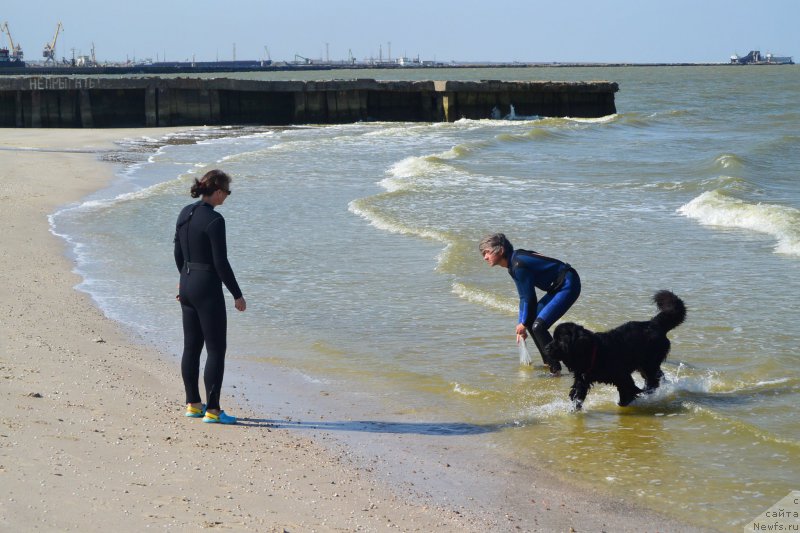 Фотография № 193504