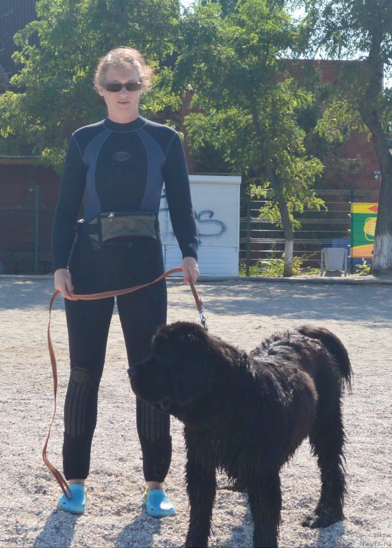 Фотография № 193506