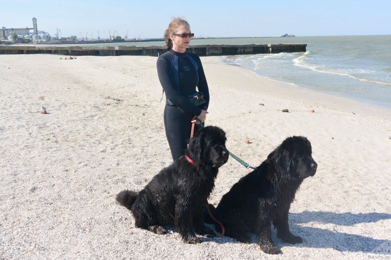 Фотография № 193509